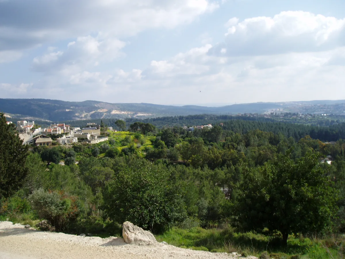 View over pine and oak woodland of Eshtaol Forest towards a hillside village and the Judean hills