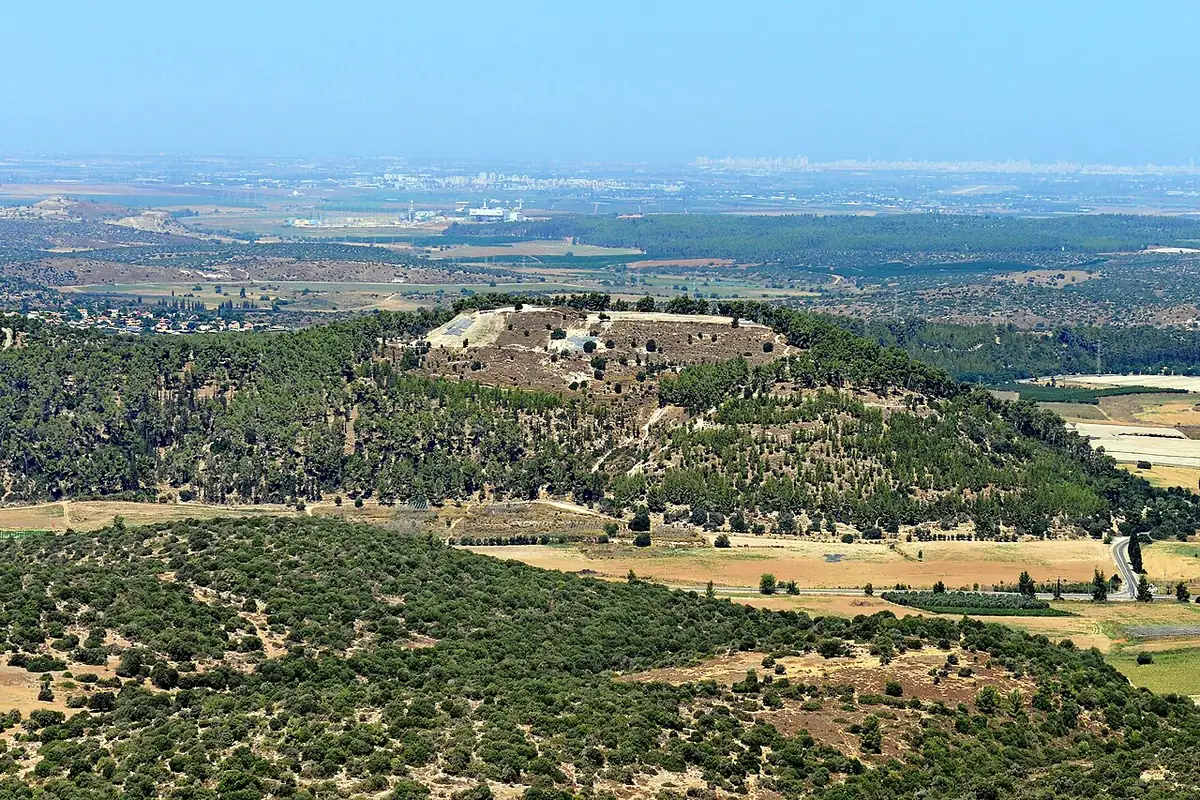 Aerial view of Tel Azeka, a pine-covered hill above the Elah Valley with the lookout area on its flat summit and farmland stretching to the coastal plain
