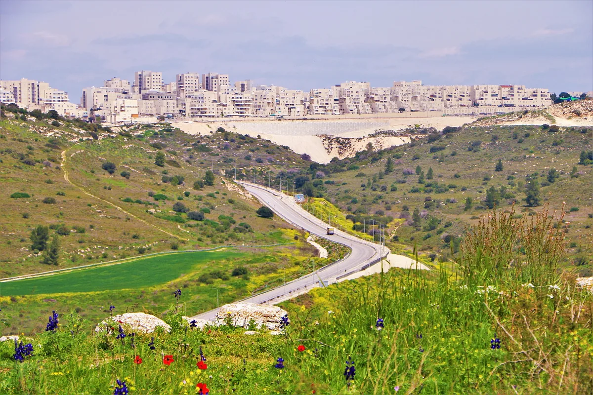 Spring lupins and anemones at Tel Socho, with a road leading up to Ramat Beit Shemesh Daled on the hill